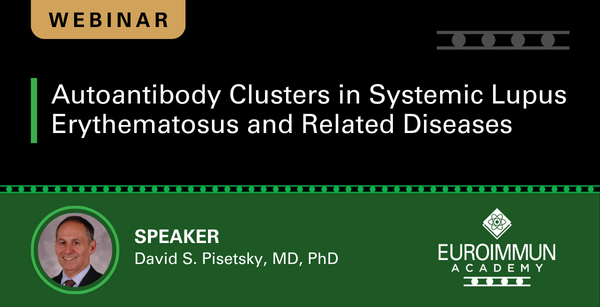 Autoantibody Clusters in Systemic Lupus Erythematosus and Related Diseases