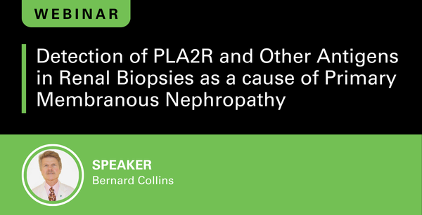 Detection of PLA2R and Other Antigens in Rengal Biopsies as a cause of Primary Membranous Nephropathy